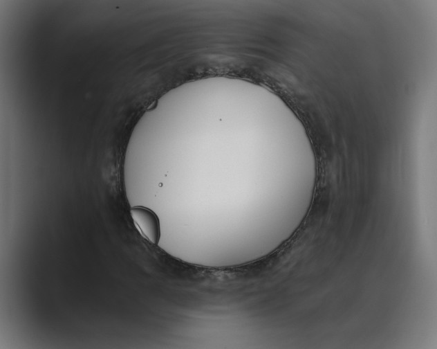 X0000089391109200706291329