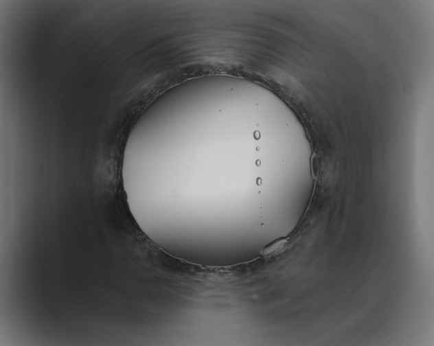 X0000089391110200706291329
