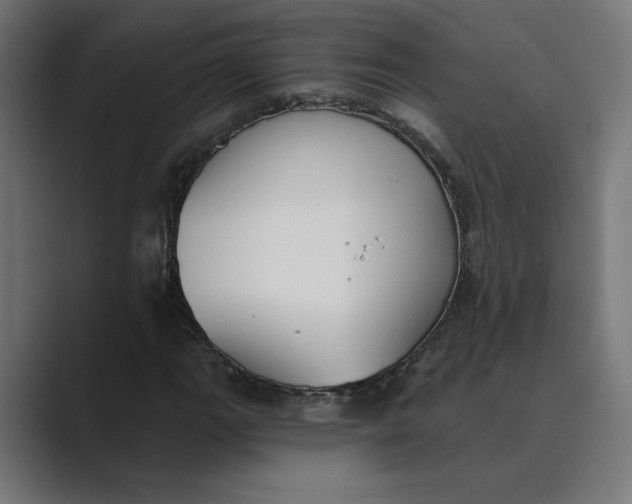 X0000089391111200706291329