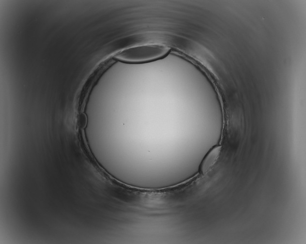 X0000089391116200706291330