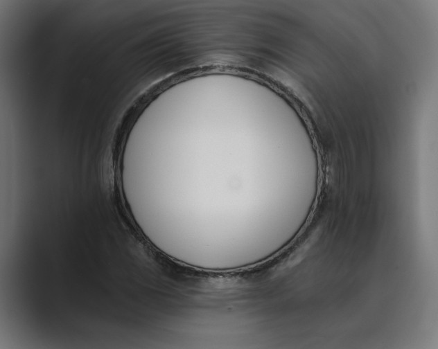 X0000089391117200706291330