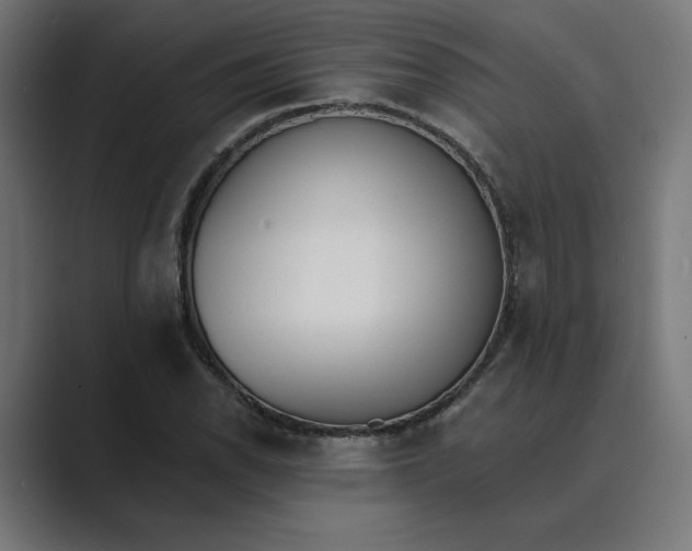 X0000089391118200706291330