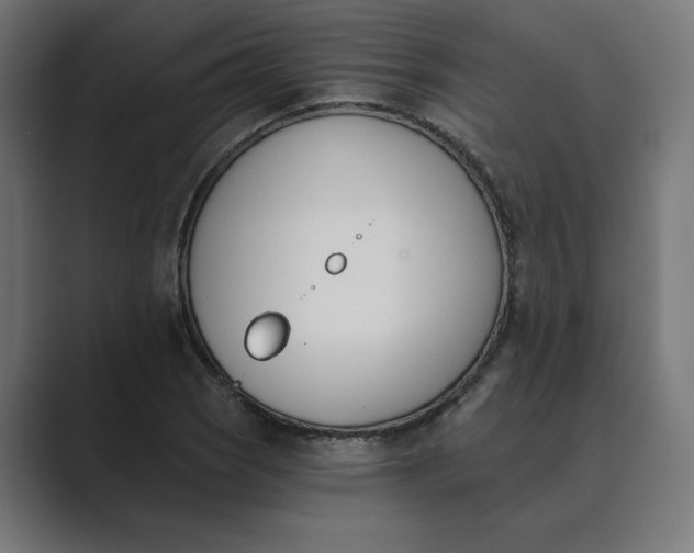 X0000089391121200706291330