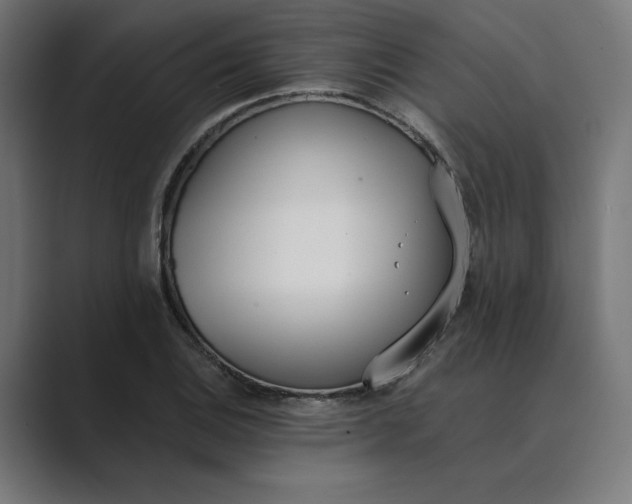 X0000089391124200706291330