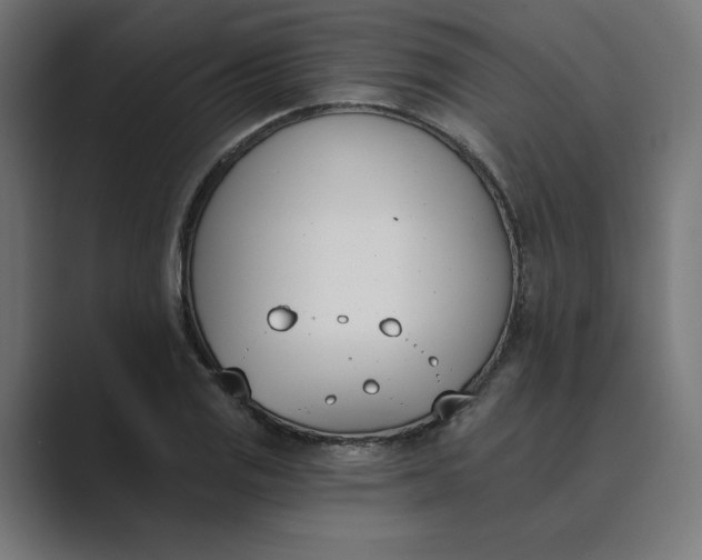 X0000089391125200706291330