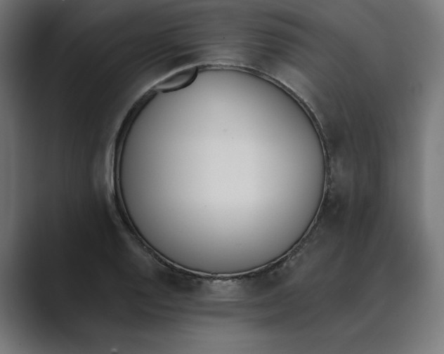 X0000089391128200706291330