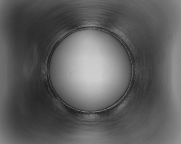 X0000089391129200706291330