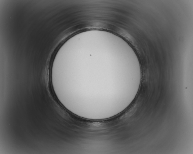 X0000089391130200706291330