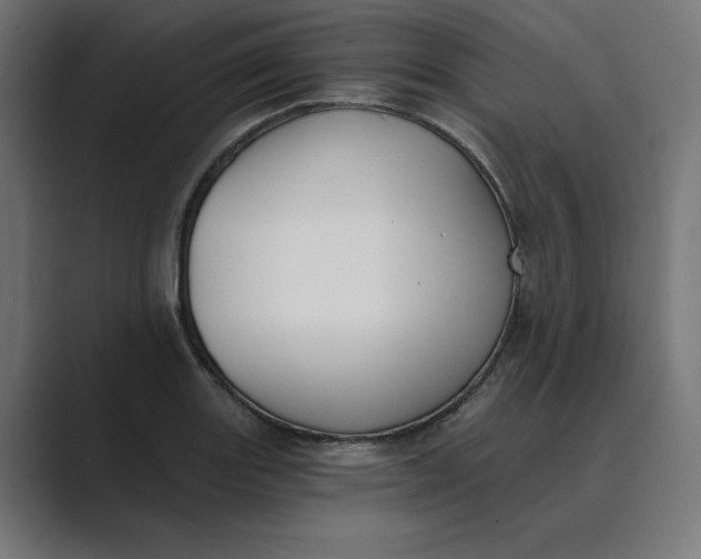 X0000089391131200706291330