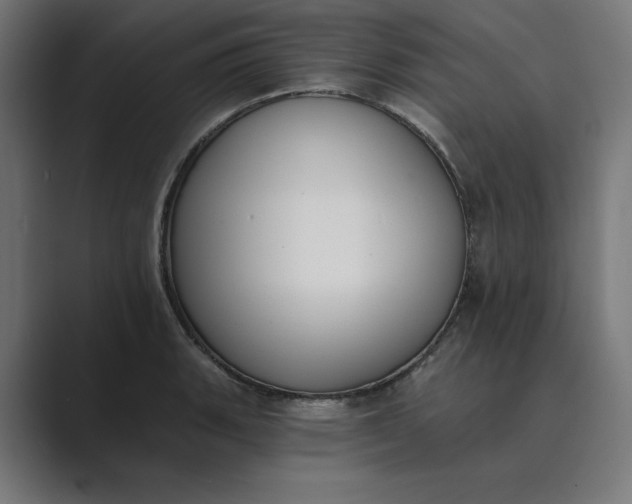 X0000089391135200706291330