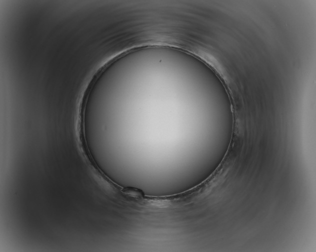 X0000089391136200706291330