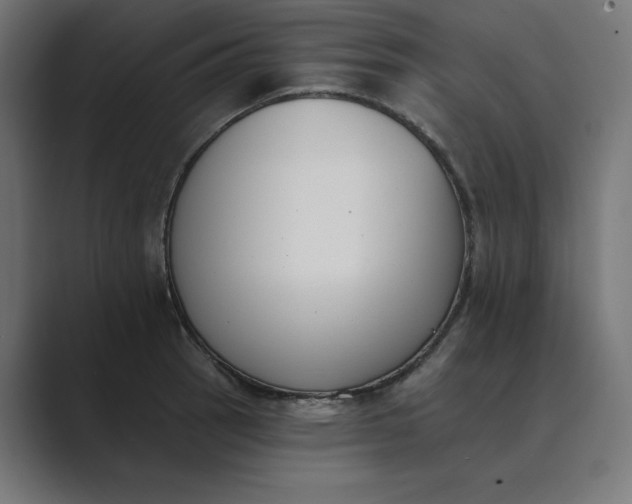X0000089391137200706291330