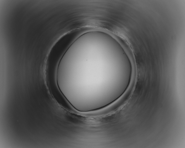 X0000089391138200706291330