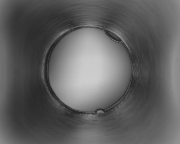 X0000089391139200706291330