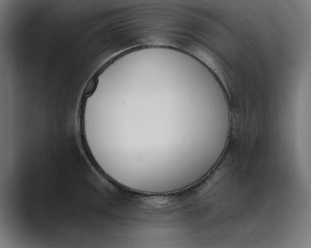 X0000089391141200706291330