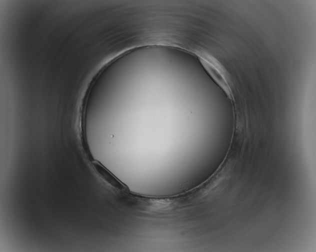 X0000089391144200706291330