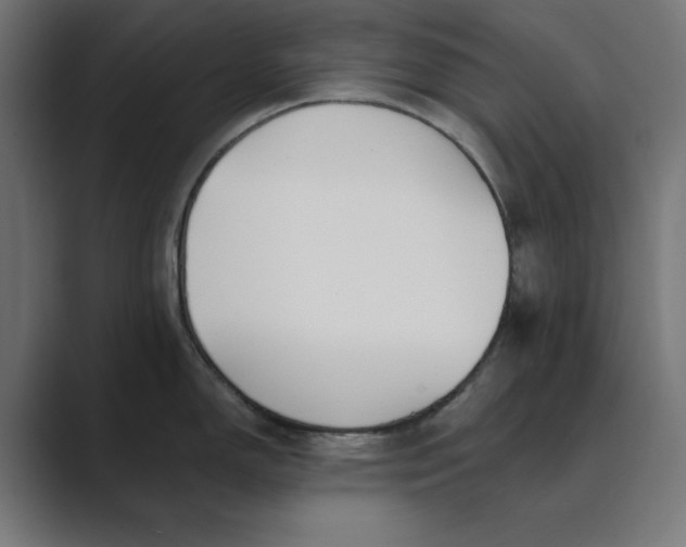 X0000089391150200706291330