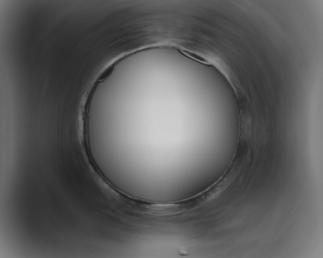 X0000089391151200706291330
