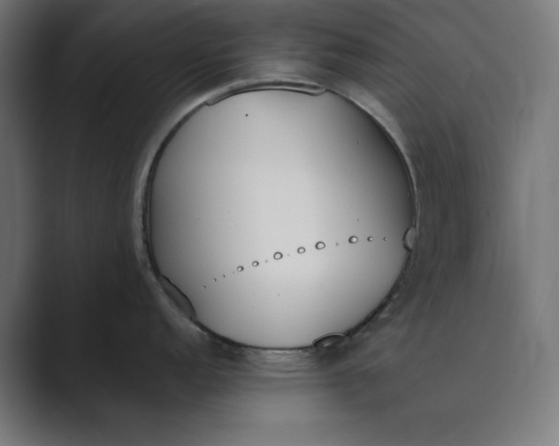 X0000089391152200706291330