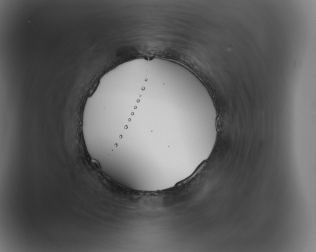 X0000089391153200706291329