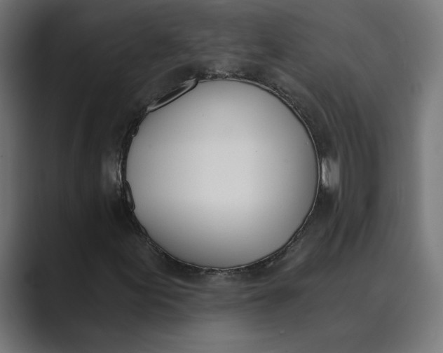 X0000089391155200706291329