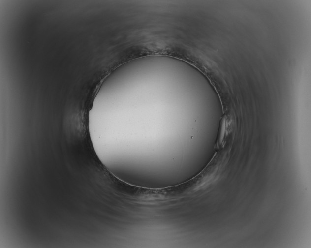 X0000089391156200706291329