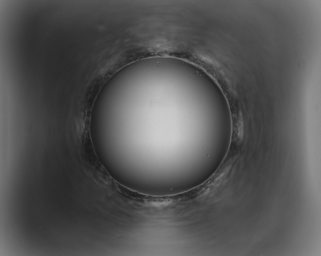 X0000089391157200706291329