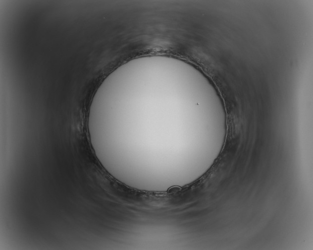 X0000089391158200706291329