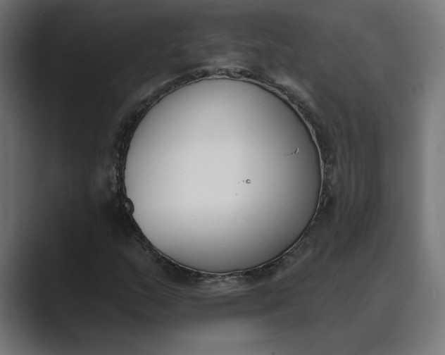 X0000089391159200706291329