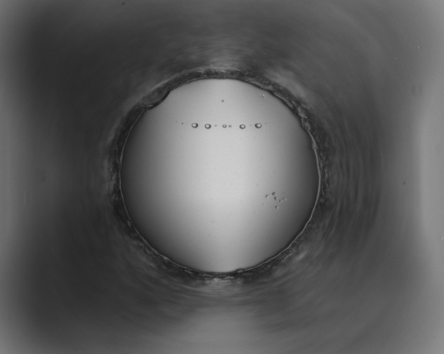 X0000089391160200706291329