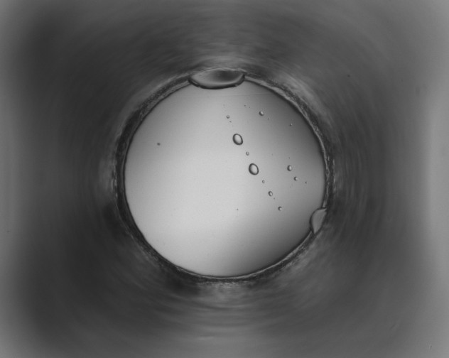 X0000089391164200706291329