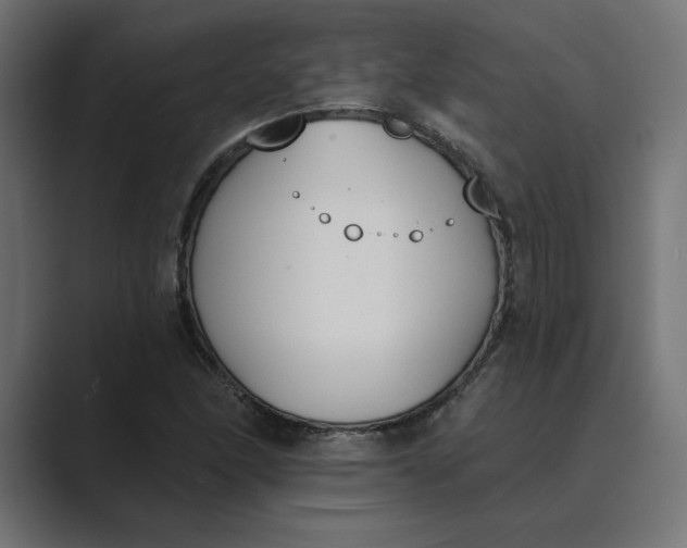 X0000089391166200706291329