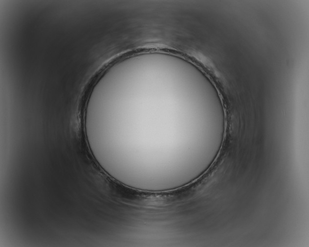 X0000089391167200706291329