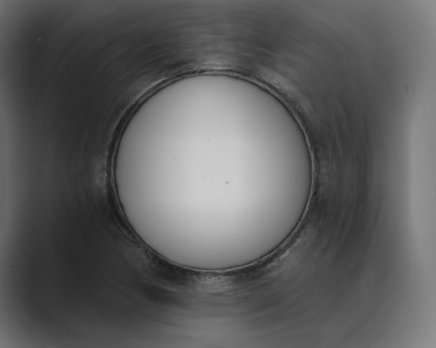 X0000089391170200706291329
