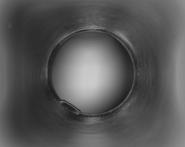 X0000089391173200706291329