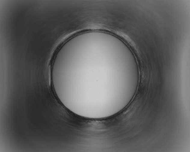 X0000089391175200706291329
