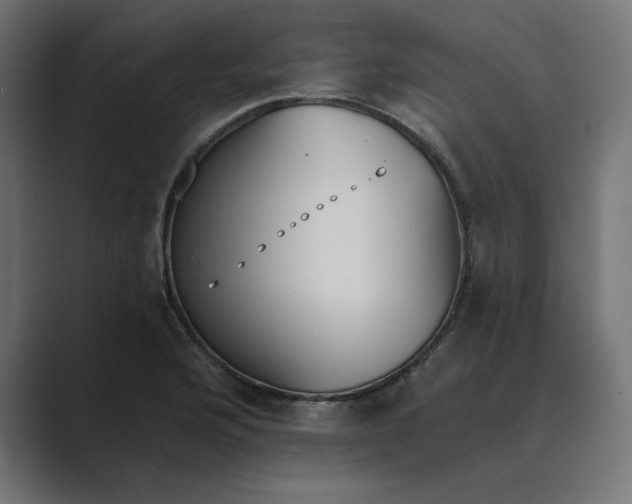 X0000089391176200706291329