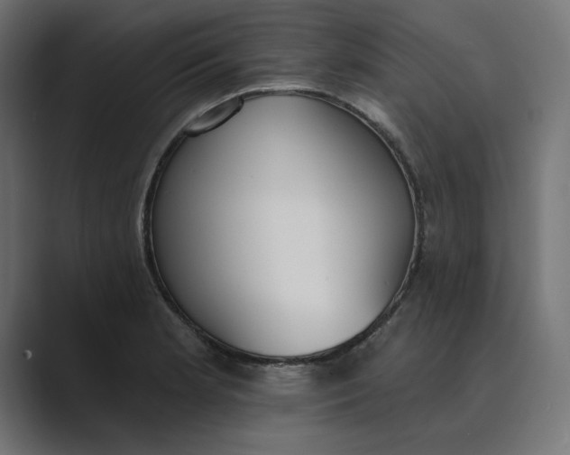 X0000089391181200706291329