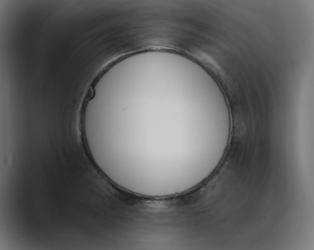 X0000089391182200706291329