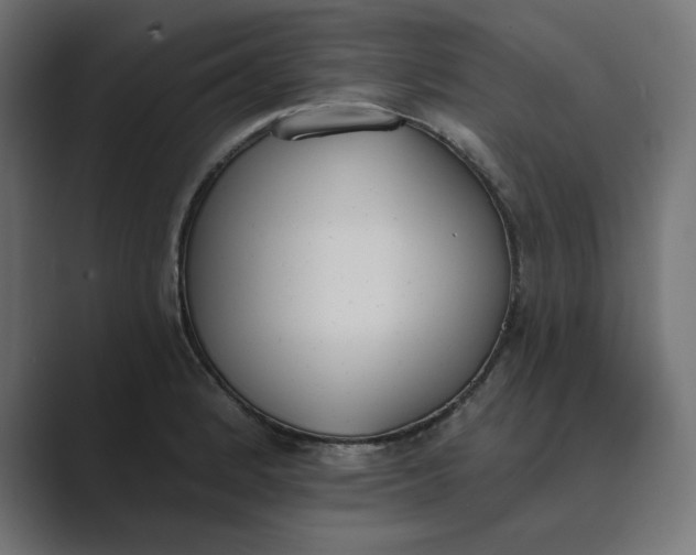 X0000089391184200706291329