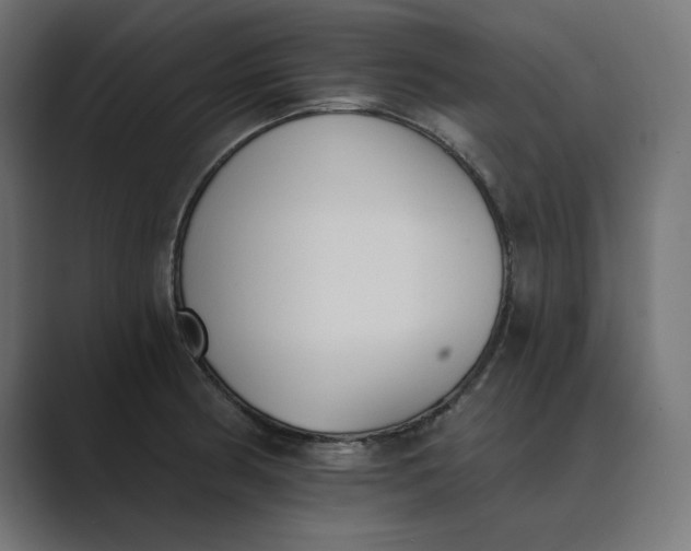 X0000089391186200706291329