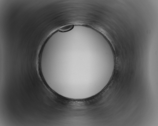 X0000089391187200706291329
