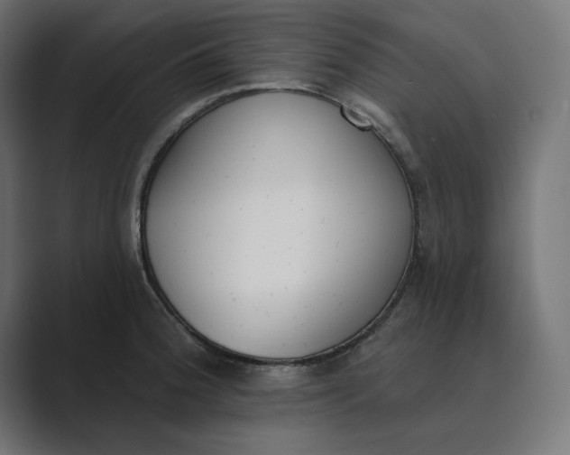 X0000089391188200706291329