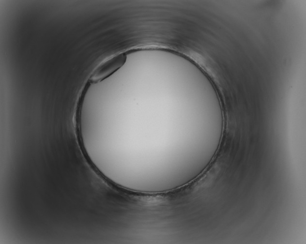 X0000089391189200706291329