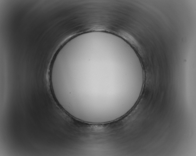 X0000089391190200706291329