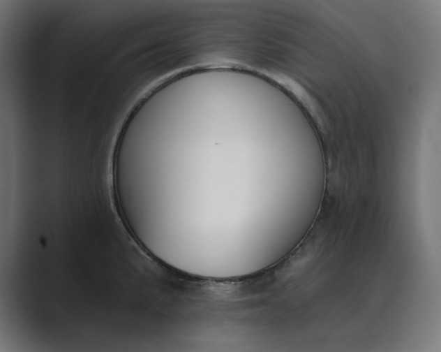 X0000089391191200706291329