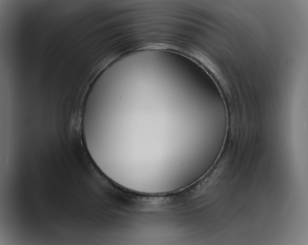 X0000089391193200706291329