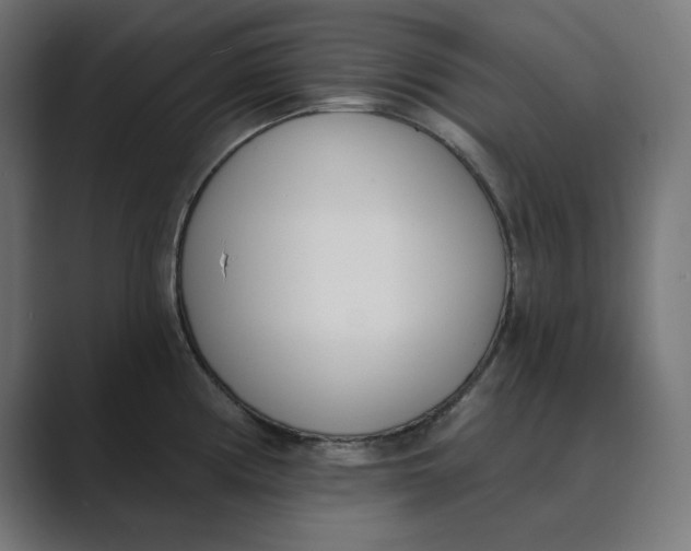 X0000089391194200706291329