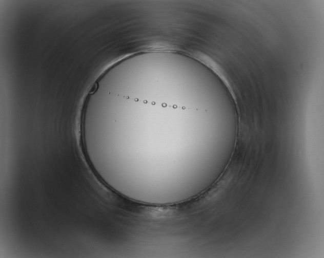 X0000089391195200706291329