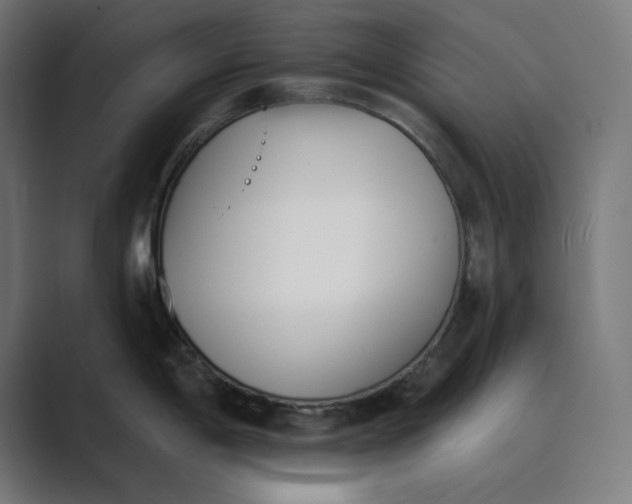 X0000089391198200706291329